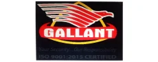 Gallant-Safety-and-security-pvt-ltd-1.png